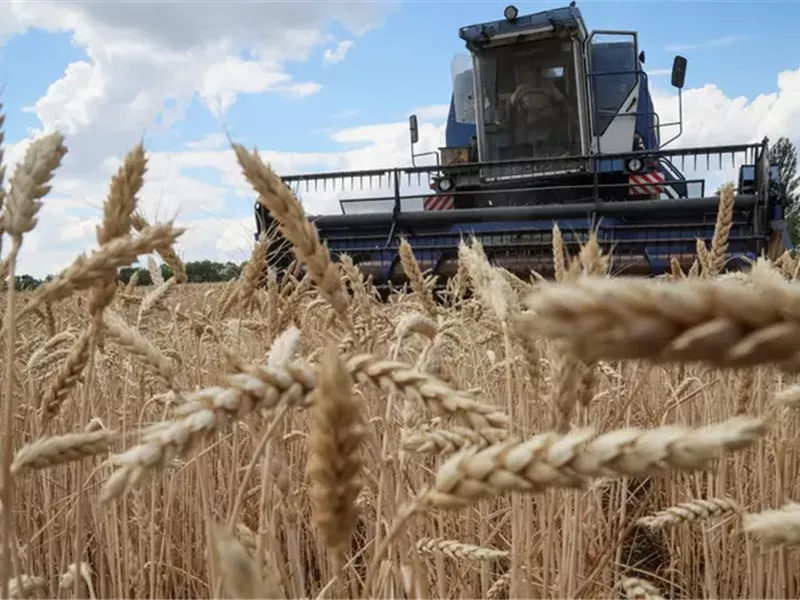  الحبوب الأوكرانية