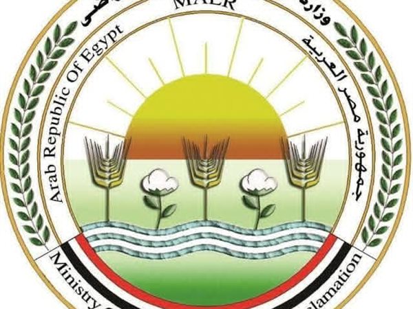 الزراعة تعلن تحصين الماشية بأكثر من 8.1 مليون جرعة للقاحي الحمى القلاعية والوادي المتصدع