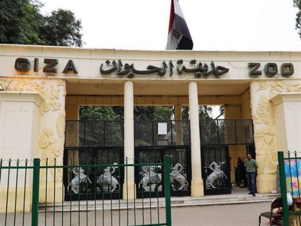 متحدث الوزراء: التشغيل التجريبي لحديقتي الحيوان والأورمان العام المقبل