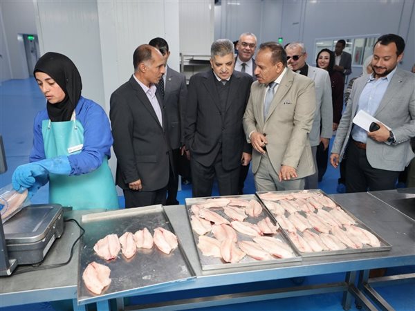 أسامة ربيع ومحافظ بورسعيد يتابعان ترميم مبنى القبة وتطور مشروعات الهيئة المختلفة