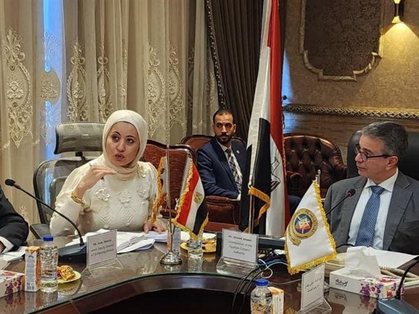 مصر وكوريا تبحثان تطوير التجارة الإلكترونية وتعزيز كفاءة المنظومة الجمركية الرقمية