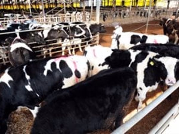 «الزراعة» تنفي نفوق 500 رأس ماشية بالمنوفية.. وتؤكد: حالتان فقط مصابتان 