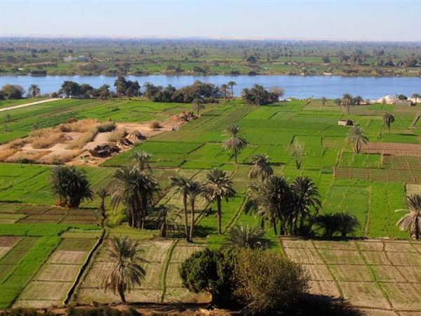 البنك الأوروبي لإعادة الإعمار والتنمية: 5 ملايين يورو من إيطاليا لدعم انتقال مصر إلى الزراعة المستدامة