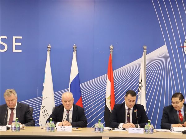 تفاصيل اجتماع متابعة مشروع المحطة النووية بالضبعة بين مصر وروسيا