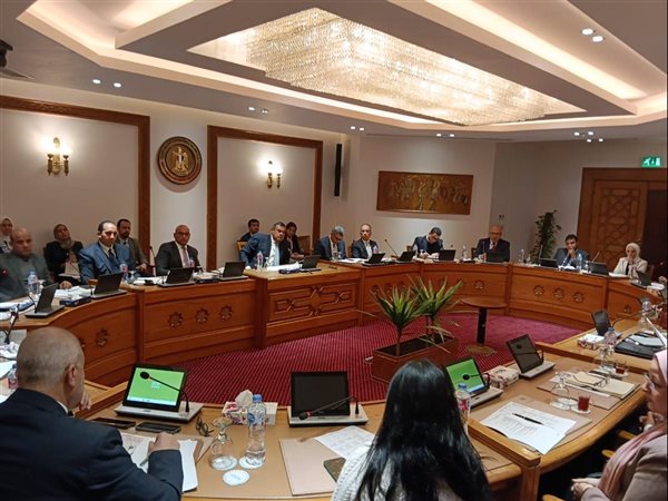 انعقاد اللجنة الدائمة لمتابعة العلاقات المصرية الإفريقية لتعزيز التعاون الاقتصادي والتبادل التجاري 