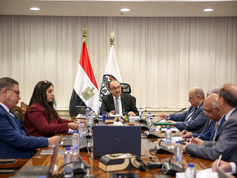 وزير قطاع الأعمال