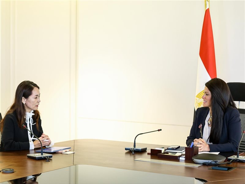 لقاء المشاط مع نائب