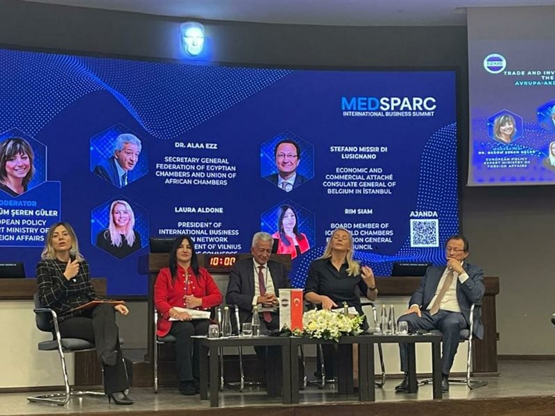 رئيس المجلس الإقتصادي