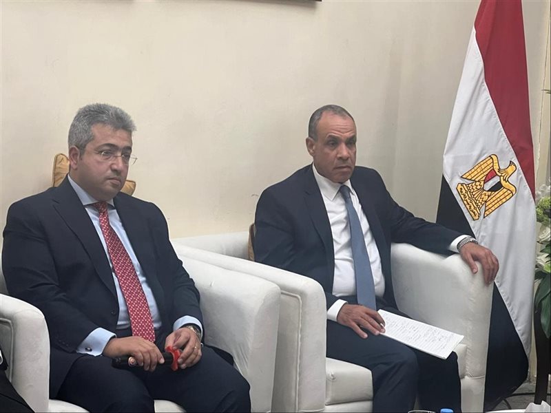 بدر عبد العاطي وزير