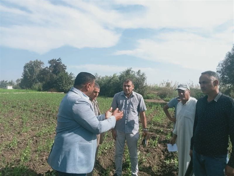 نشاط إرشادى متنوع