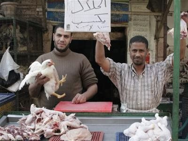 الدواجن في الأسواق