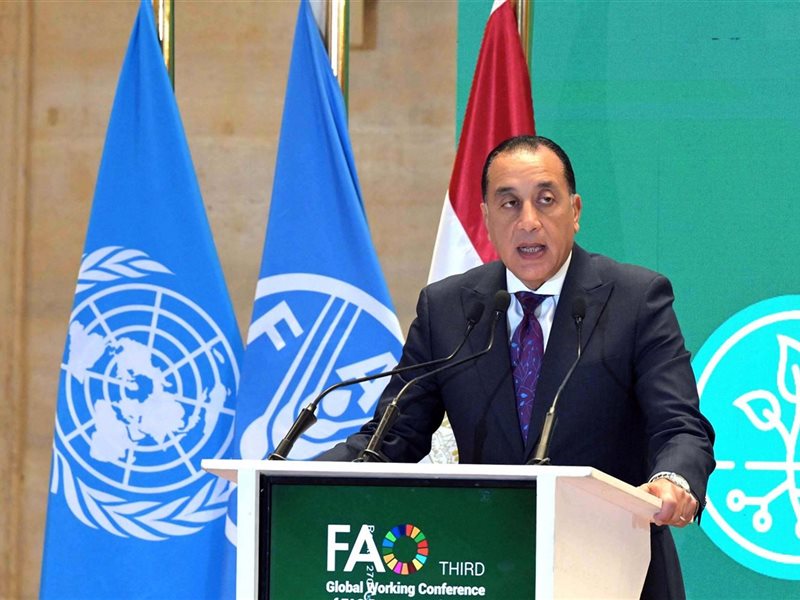 جانب من الفعاليات