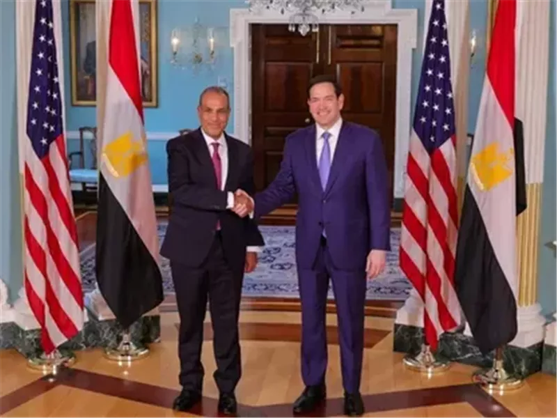 وزيرا الخارجية المصري