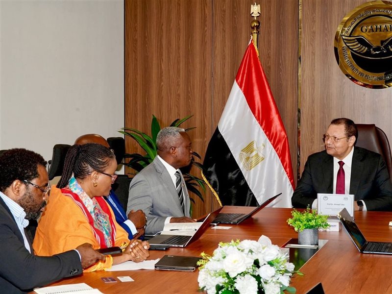 مصر و ناميبيا يبحثان