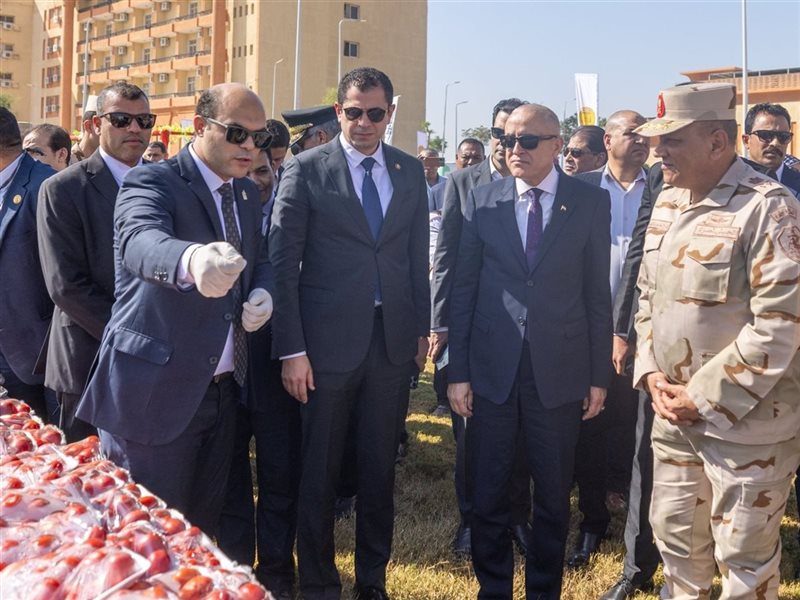 المهندس عبد المطلب