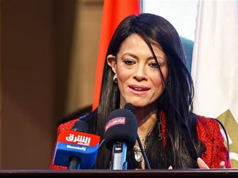 رانيا المشاط، وزيرة