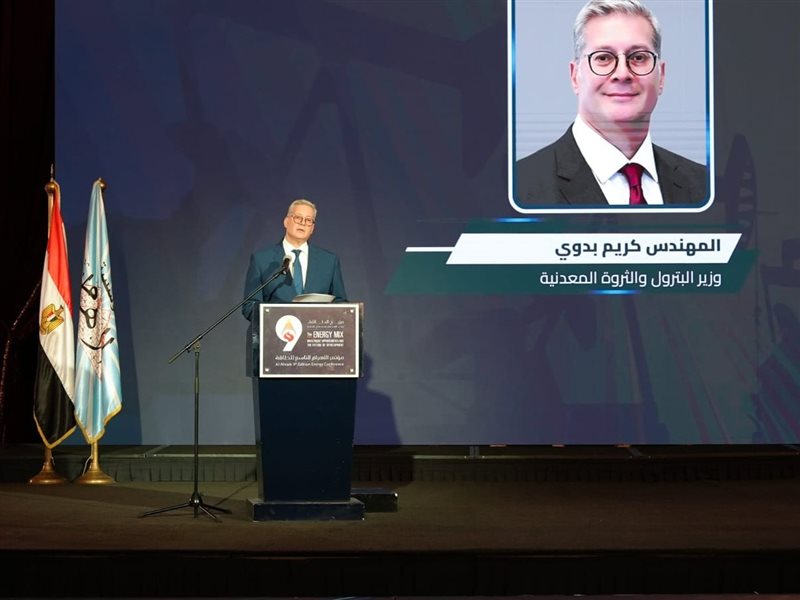 المهندس كريم بدوي