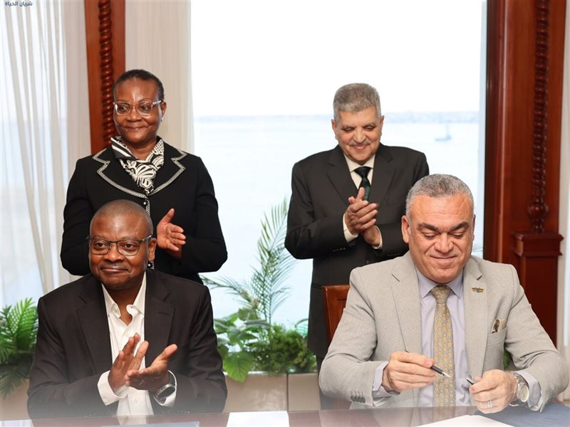 الفريق أسامة ربيع