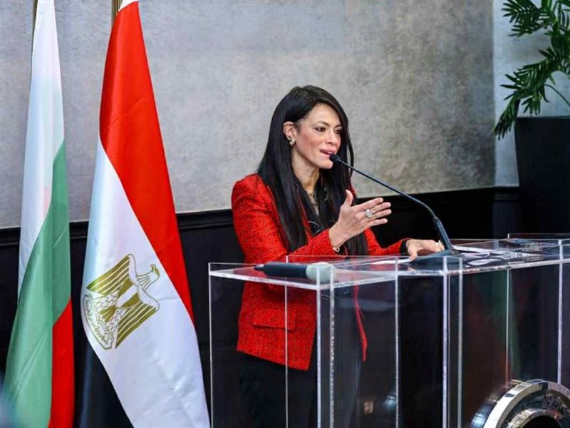 رانيا المشاط، وزيرة