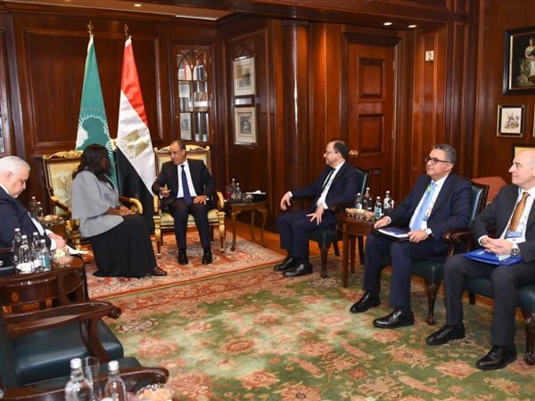 وزير الخارجية يبحث التعاون الاقتصادي مع مفوضة الاتحاد الأفريقي
