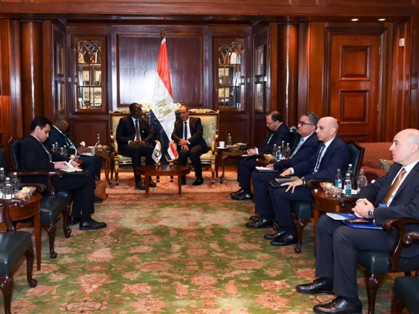 وزير الخارجية يبحث مع رئيس مفوضية الإيكواس تعزيز التعاون المشترك