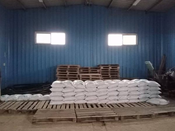 «الزراعة» توزع 100 طن تقاوي شعير و33 ألف شتلة زيتون لدعم المزارعين بالحدود