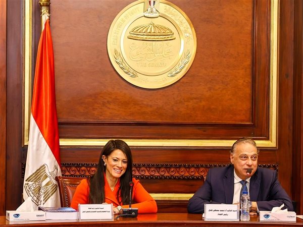 دعماً للإصلاح الاقتصادي.. وزيرة التخطيط: 9.5 مليار دولار تمويلات ميسرة لدعم الموازنة