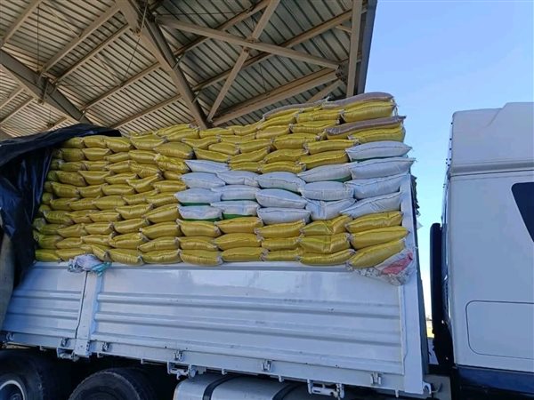 29 مليون و858 ألف جنيه حصيلة مزاد 25 ديسمبر بجمارك السويس والسخنة