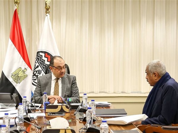 وزير قطاع الأعمال يبحث التعاون مع مجموعة 