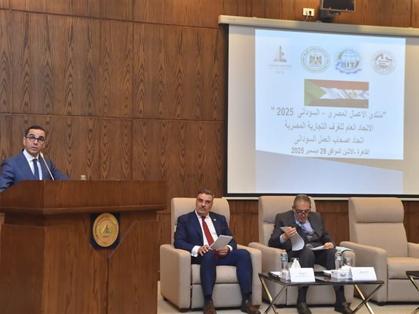 بـ 3320 شركة.. استثمارات سودانية في مصر تنمو 39% خلال 2024 