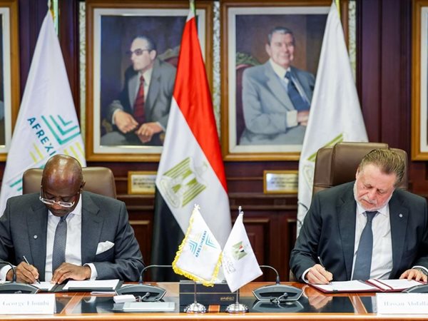 مصر تتصدر إفريقيا.. بنك مركزي للذهب لتعزيز الاستقرار الاقتصادي والتكامل القاري