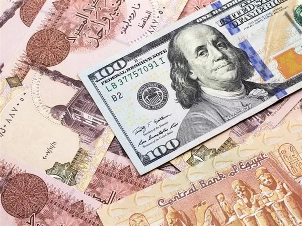 الأخضر رايح على فين.. إلى أين يتجه سعر الدولار خلال 2026 في مصر؟