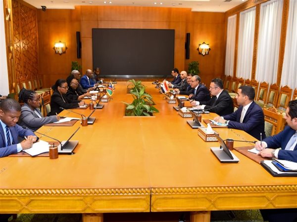 وزير الخارجية يبحث مع ناميبيا آفاق التعاون الاقتصادي والتنمية المشتركة