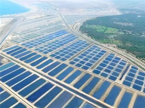 جهاز تنمية البحيرات: يؤكد دعم ثقافة  نشر الاستزراع السمكي بمطروح