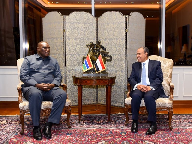 وزير الخارجية يلتقي