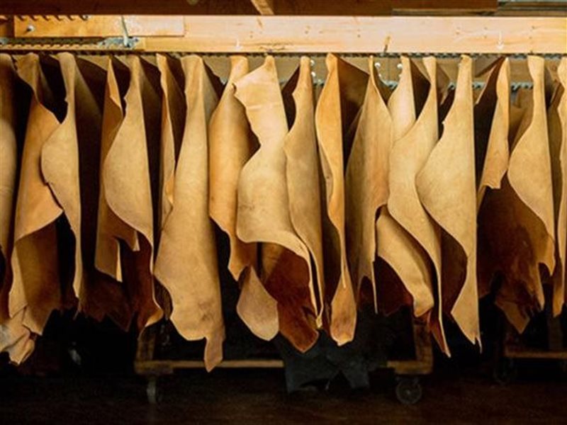  معرض القاهرة الدولي