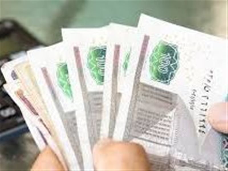 الدعم الحكومي 