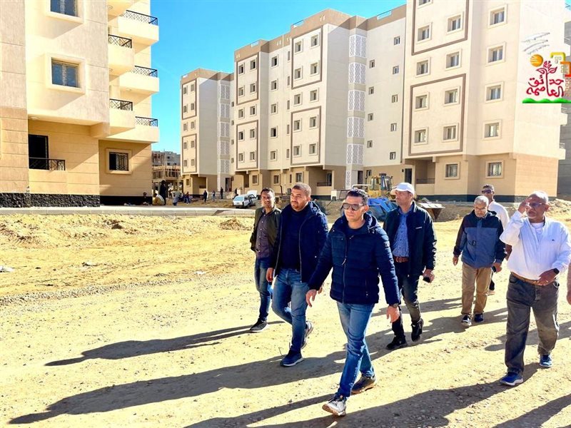 أحمد العربي، رئيس