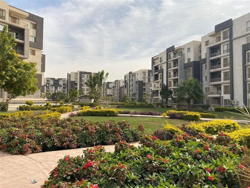 مشروع جنه بالقاهرة