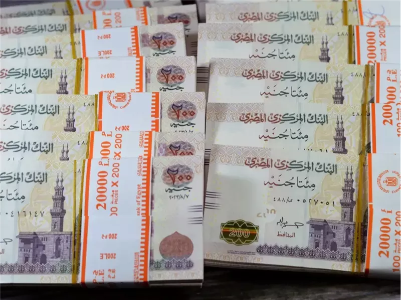 العملة المصرية