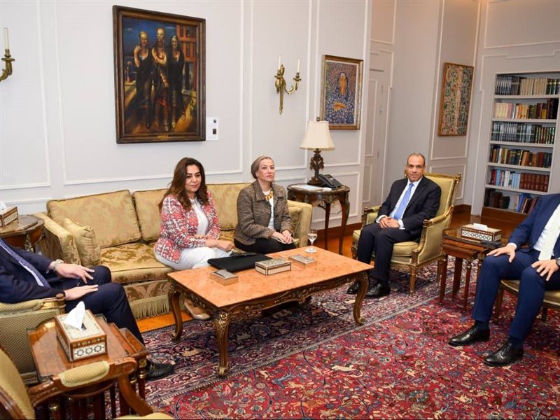  بدر عبد العاطي وزير