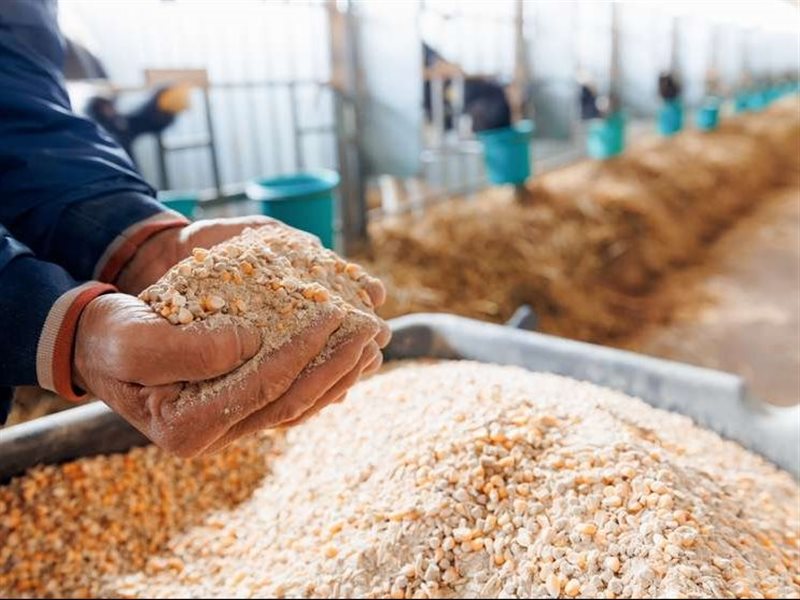 نيو هوب الصينية تعتزم