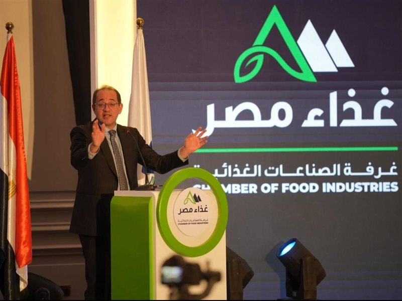 أحمد كجوك وزير المالية