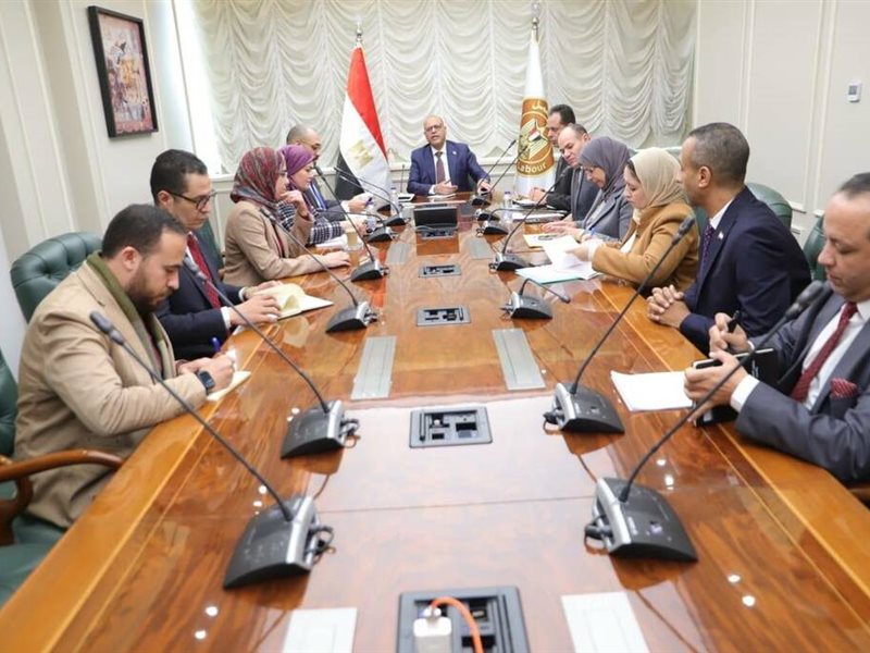 وزارة العمل و«مصر