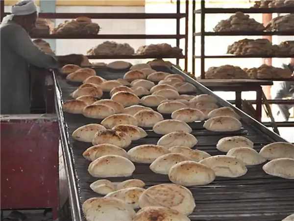 شعبة أصحاب المخابز بالقاهرة: اشتراطات صحية صارمة لضمان إنتاج خبز آمن