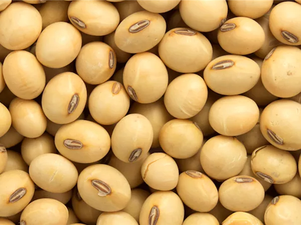 الصين تستأنف مزادات فول الصويا بعد ثلاثة أسابيع لخفض ضغوط التخزين