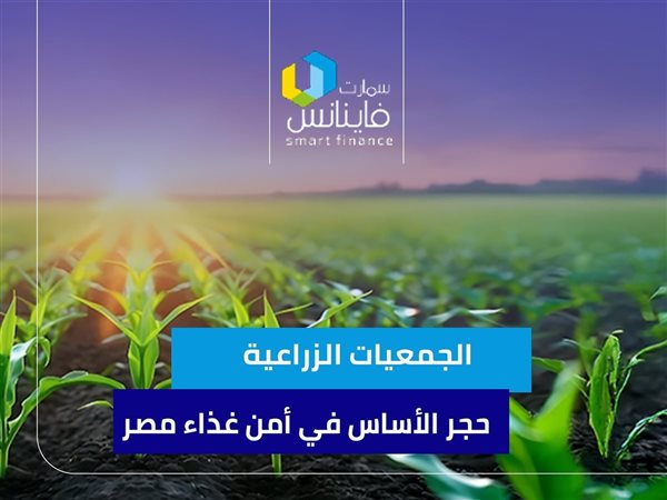 الجمعيات الزراعية.. حجر الأساس في أمن غذاء مصر