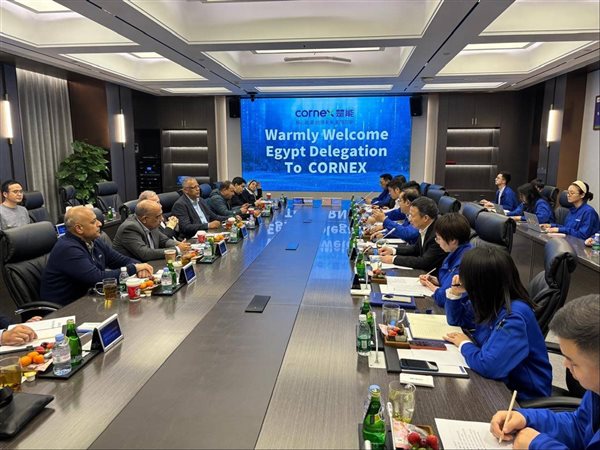 باستثمارات 200 مليون دولار.. مشروع مصري-صيني لتوطين بطاريات الطاقة في مصر