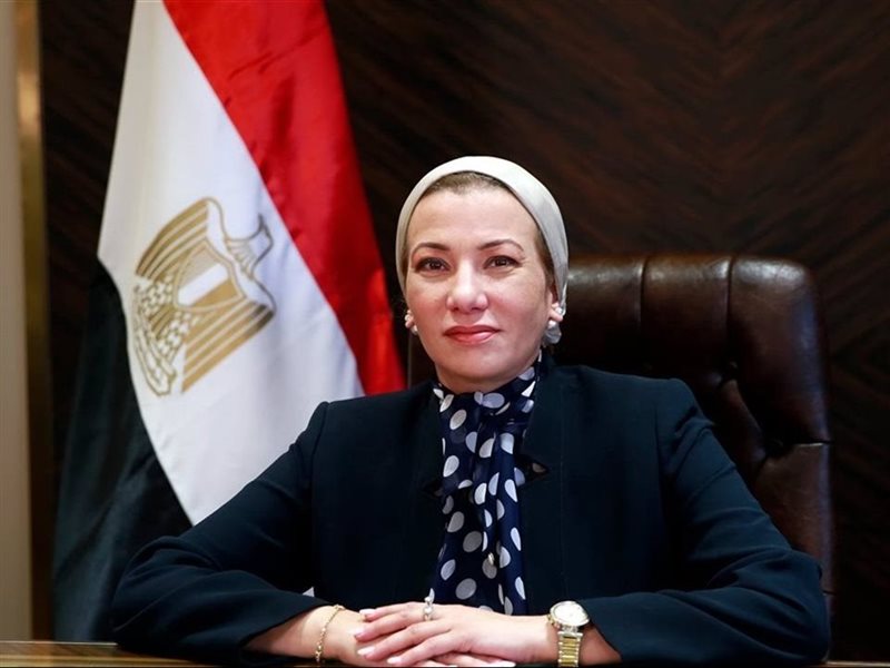 ياسمين فؤاد