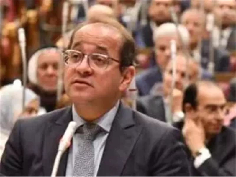 أحمد كجوك وزير المالية